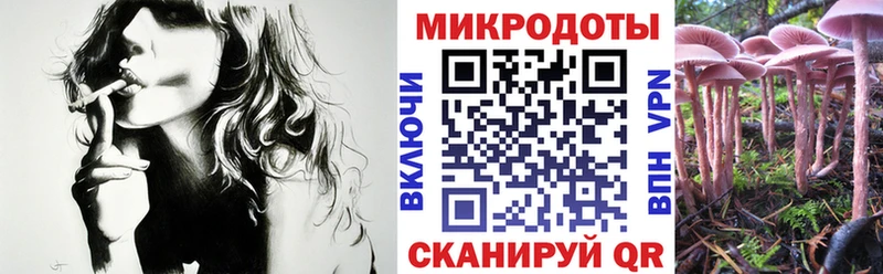 Псилоцибиновые грибы прущие грибы  Миньяр 
